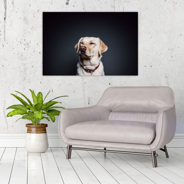 Slika labradora (90x60 cm)