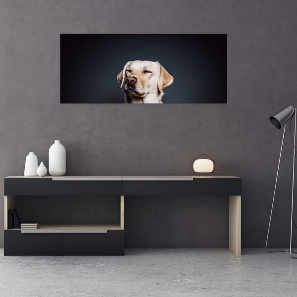 Slika labradora (120x50 cm)
