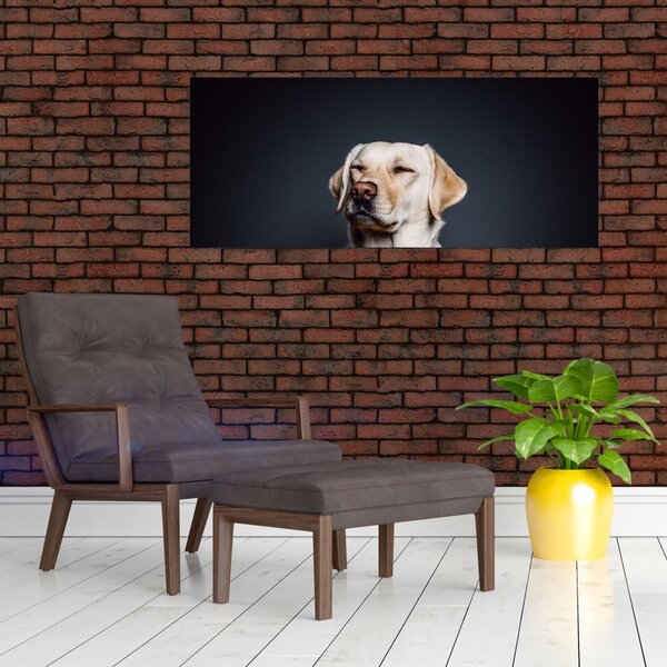 Slika labradora (120x50 cm)
