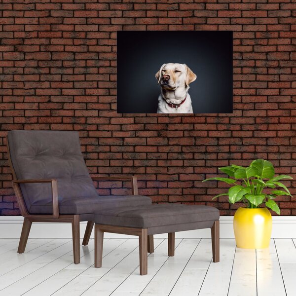 Slika labradora (70x50 cm)