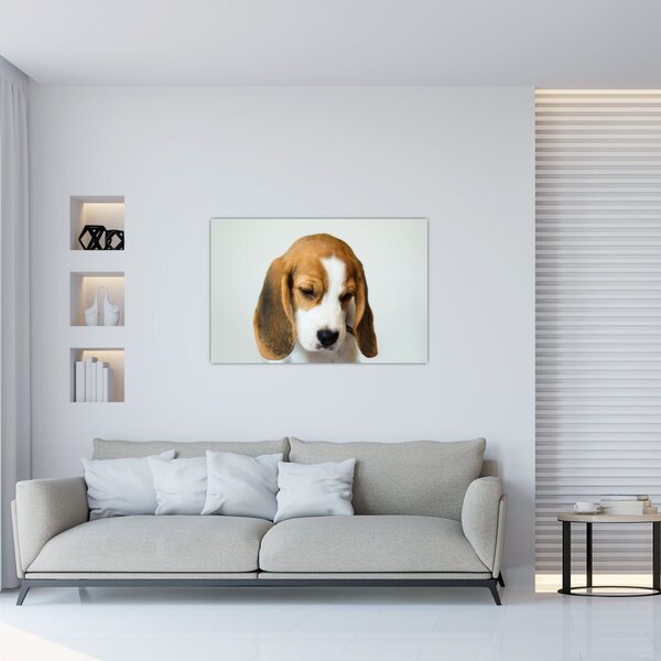 Slika Bigla (90x60 cm)