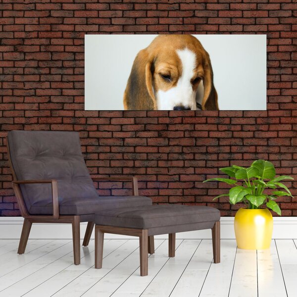 Slika Bigla (120x50 cm)