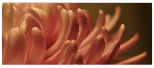Slika detalja cvijeta (120x50 cm)
