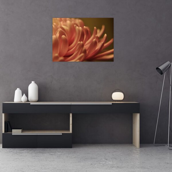 Slika detalja cvijeta (70x50 cm)