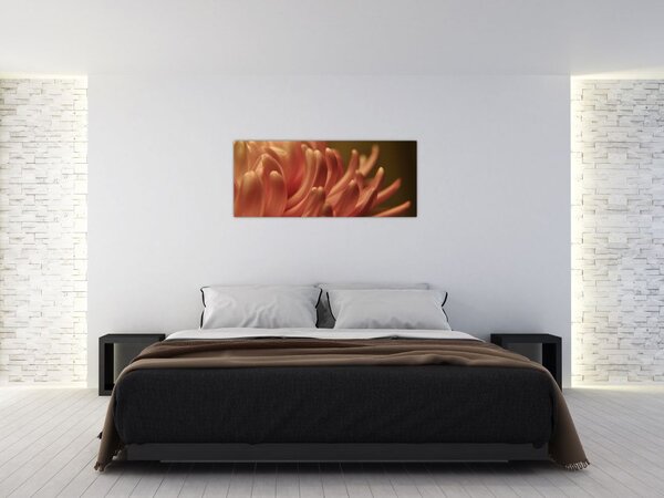 Slika detalja cvijeta (120x50 cm)