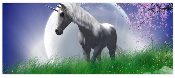 Slika jednoroga (120x50 cm)
