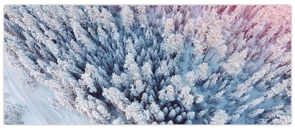 Slika snježnih stabala (120x50 cm)