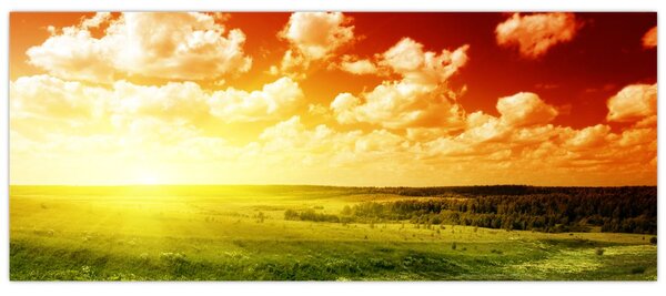 Slika livade sa sjajnim suncem (120x50 cm)