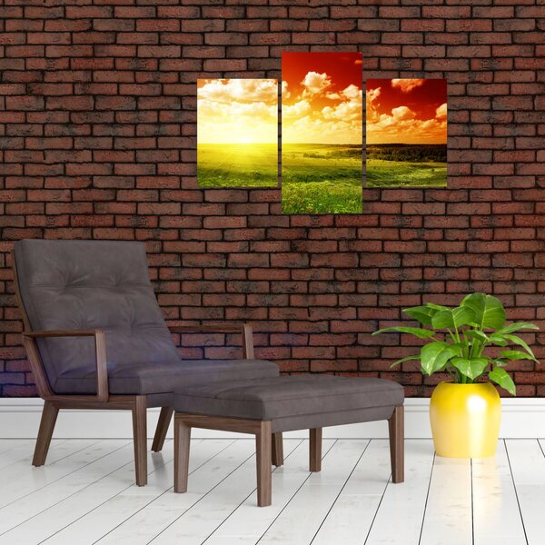 Slika livade sa sjajnim suncem (90x60 cm)