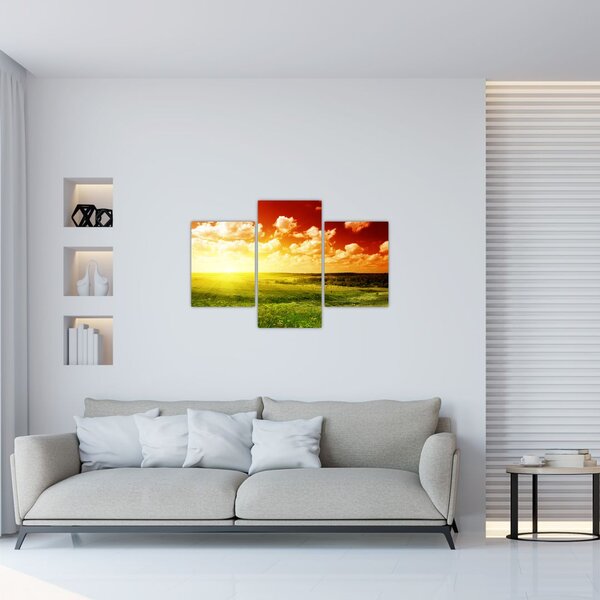 Slika livade sa sjajnim suncem (90x60 cm)