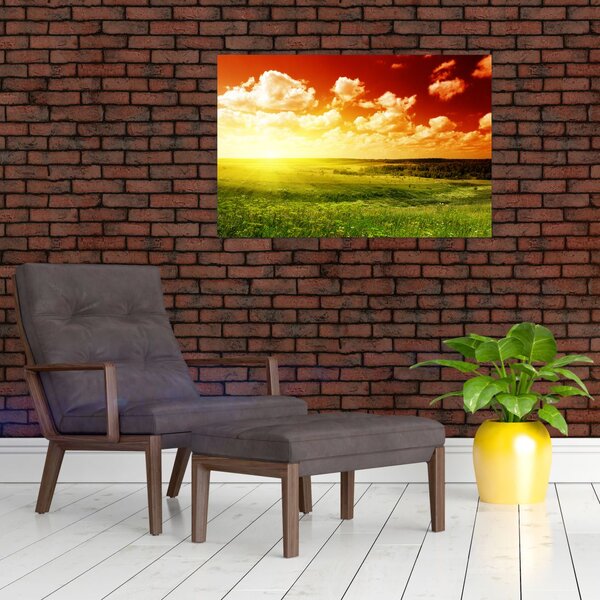 Slika livade sa sjajnim suncem (90x60 cm)