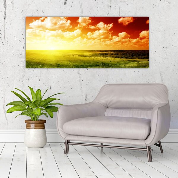 Slika livade sa sjajnim suncem (120x50 cm)