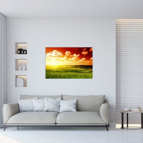 Slika livade sa sjajnim suncem (90x60 cm)