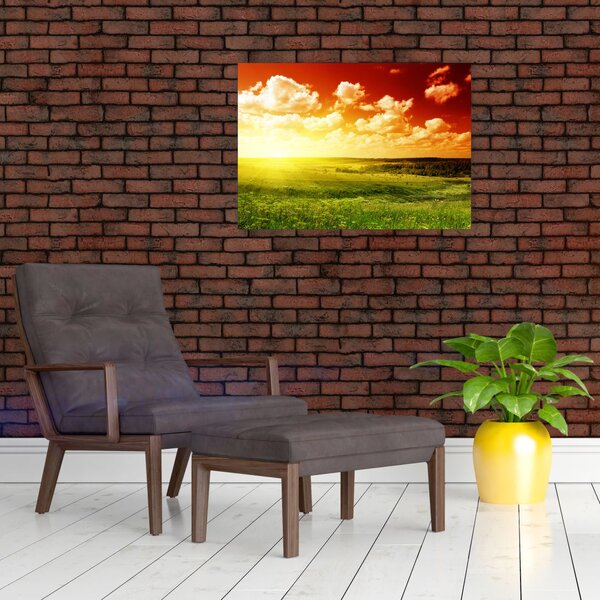 Slika livade sa sjajnim suncem (70x50 cm)