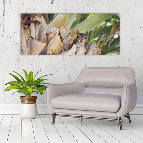 Slika vjeverice na drvetu (120x50 cm)