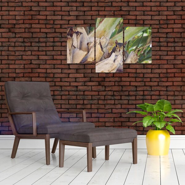 Slika vjeverice na drvetu (90x60 cm)