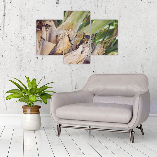 Slika vjeverice na drvetu (90x60 cm)