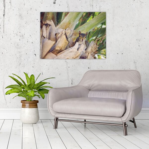 Slika vjeverice na drvetu (70x50 cm)