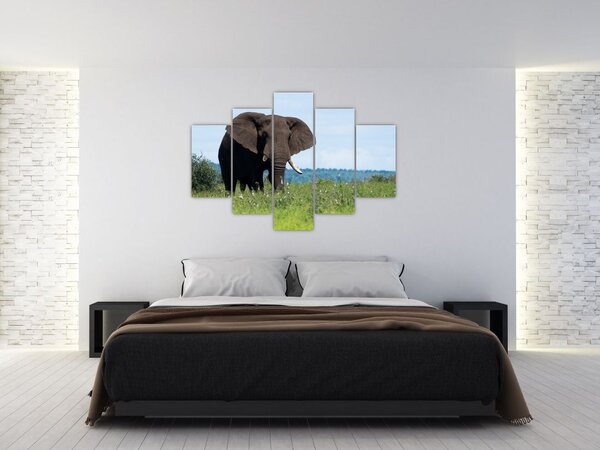 Slika slona (150x105 cm)