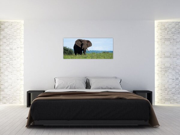 Slika slona (120x50 cm)