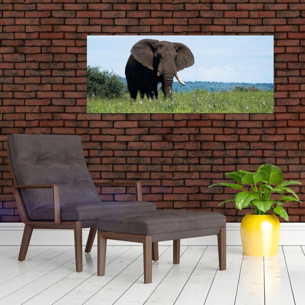 Slika slona (120x50 cm)