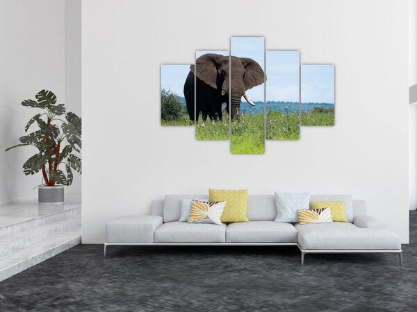 Slika slona (150x105 cm)