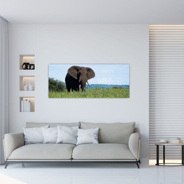 Slika slona (120x50 cm)