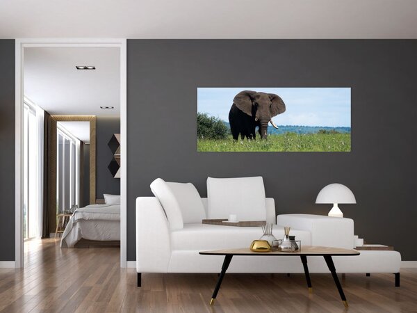 Slika slona (120x50 cm)