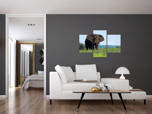 Slika slona (90x60 cm)