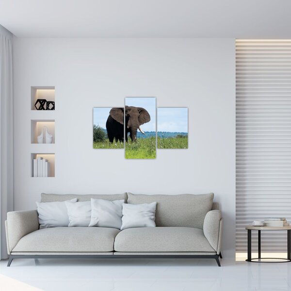 Slika slona (90x60 cm)