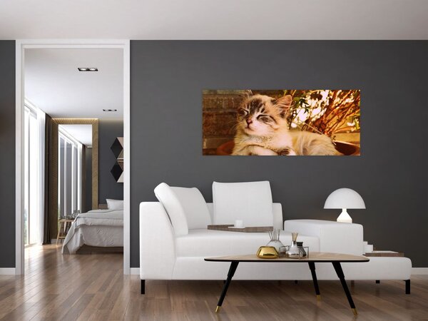 Slika mačke u loncu (120x50 cm)