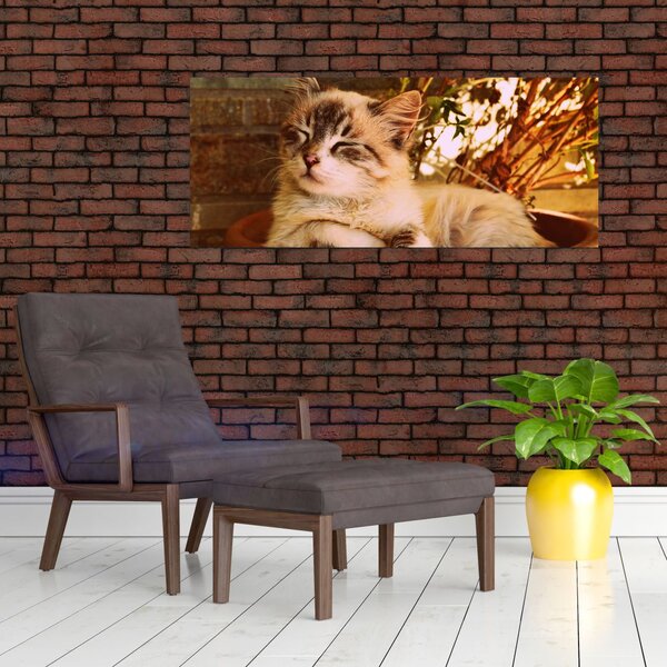 Slika mačke u loncu (120x50 cm)