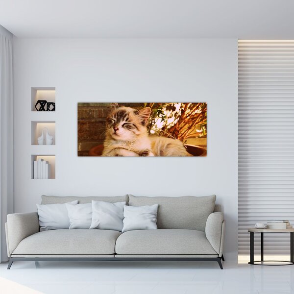Slika mačke u loncu (120x50 cm)