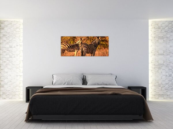 Slika zebri (120x50 cm)