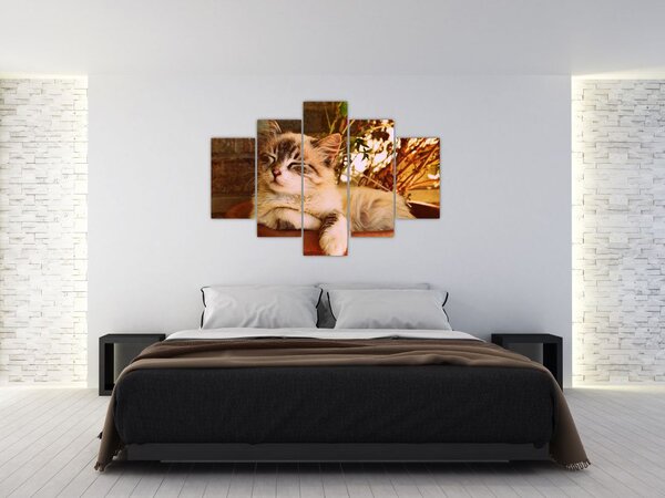 Slika mačke u loncu (150x105 cm)