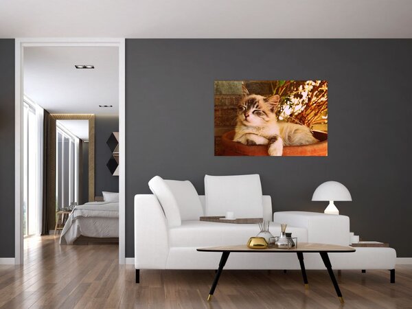 Slika mačke u loncu (90x60 cm)