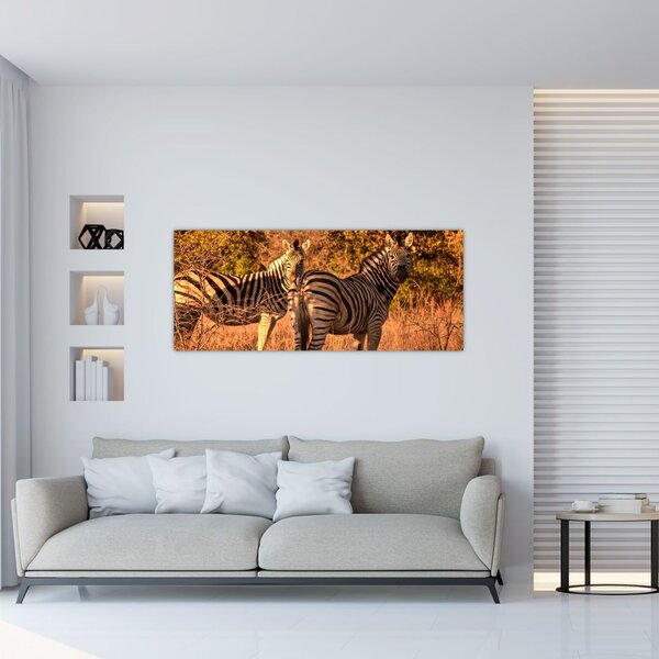Slika zebri (120x50 cm)