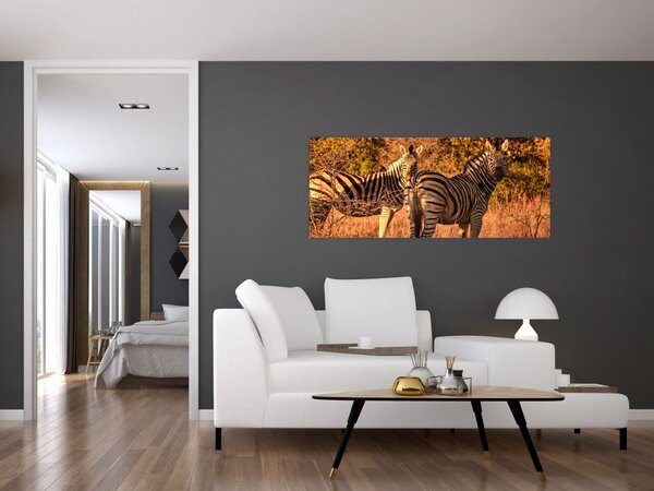 Slika zebri (120x50 cm)