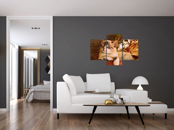 Slika mačke u loncu (90x60 cm)