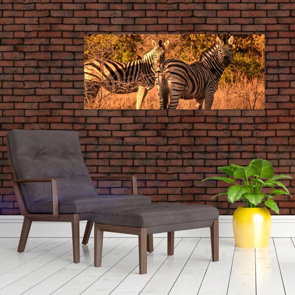 Slika zebri (120x50 cm)