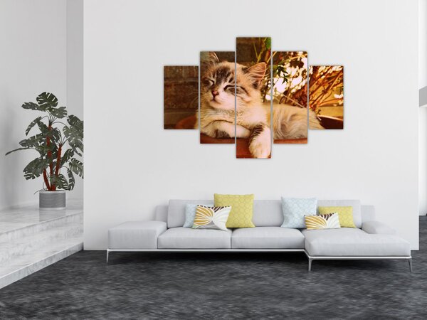 Slika mačke u loncu (150x105 cm)
