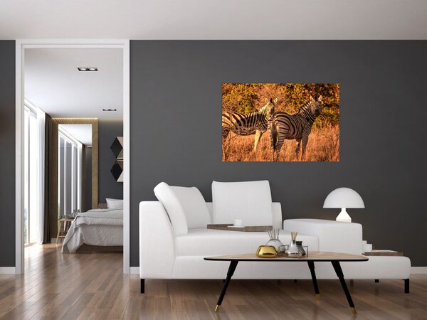 Slika zebri (90x60 cm)