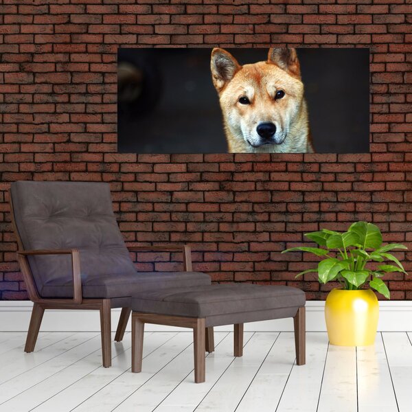 Slika psa (120x50 cm)