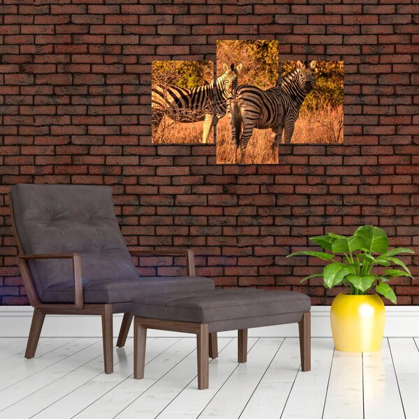 Slika zebri (90x60 cm)