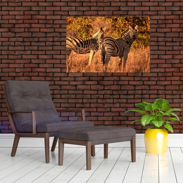 Slika zebri (90x60 cm)
