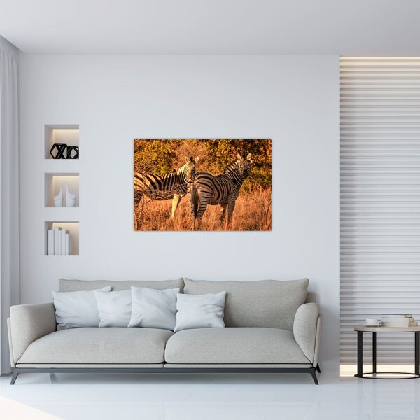 Slika zebri (90x60 cm)