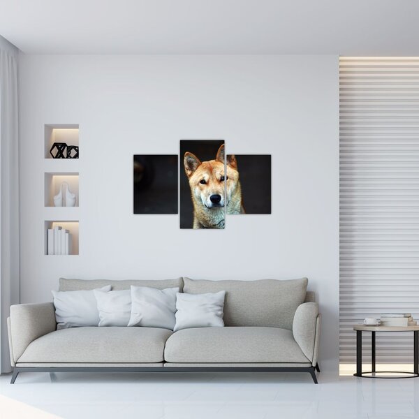 Slika psa (90x60 cm)