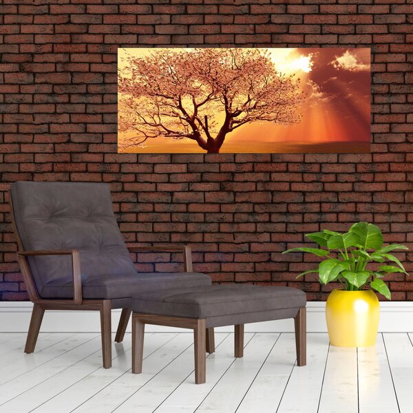 Slika zraka Božjih (120x50 cm)