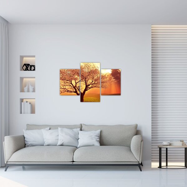 Slika zraka Božjih (90x60 cm)