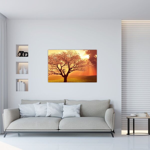 Slika zraka Božjih (90x60 cm)